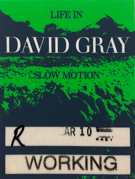 David Gray - Slow Motion Tour Backstage Working Pass