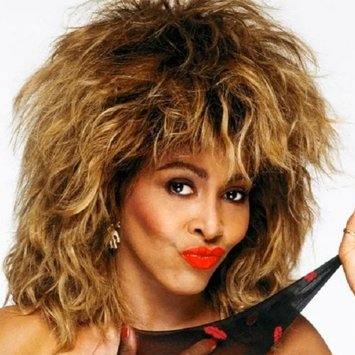 Tina Turner Memorabilia Collection
