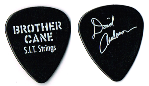 Brother Cane - David Anderson Concert Tour Guitar Pick