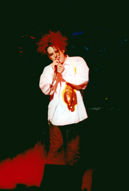 The Cure 1987 Kiss Me, Kiss Me, Kiss Me Tour - 8x12 (Reunion Arena)