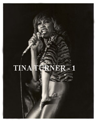 Classic 8x10 BW photo of Tina Turner