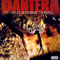 Pantera The Great Southren Trendkill promo Album Flat
