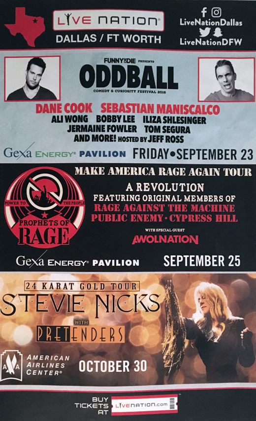 Stevie Nicks - 2014 24 Karat Gold Tour Promo Poster